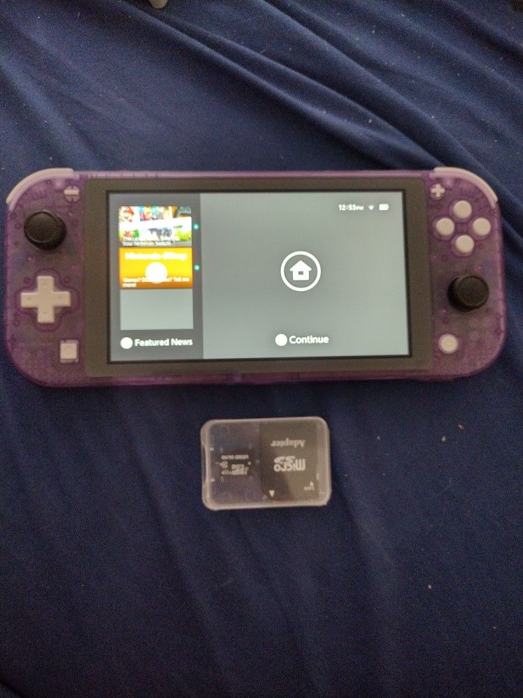Custom Nintendo Switch Lite System (READ DESC)