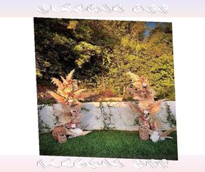 western sit Tailored Ceremony Arches Design Your Dream Wedding Setup