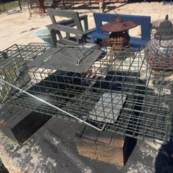 Small Animal Trap