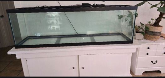 125 gallon fish tank
