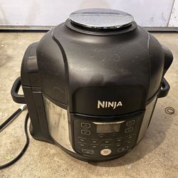 Ninja Air Fryer