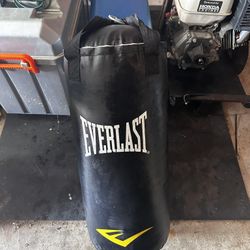 Everlast Bag