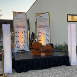 Performance Stage 
