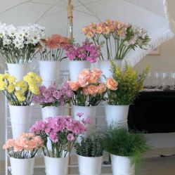 Party Decoration 