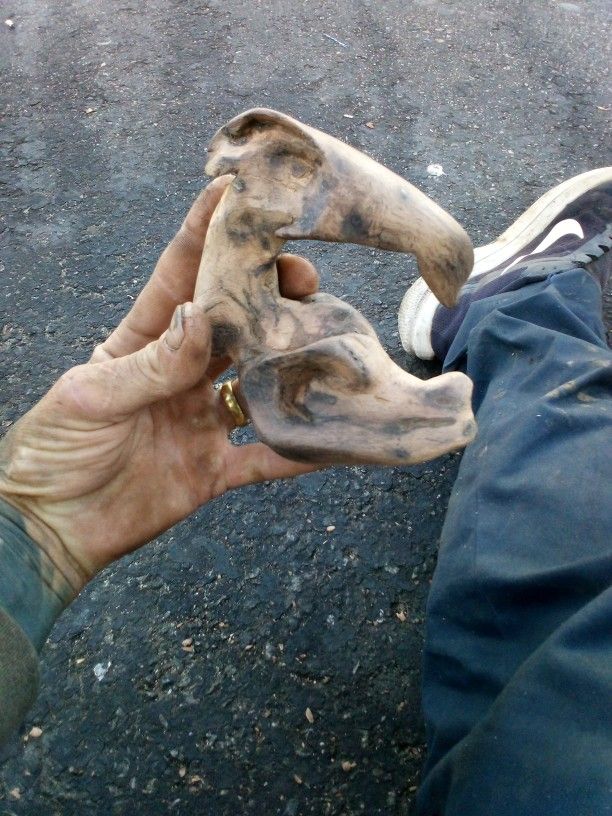 Driftwood Miracle