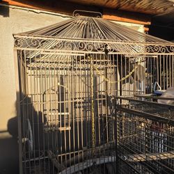 Huge Bird Cage
