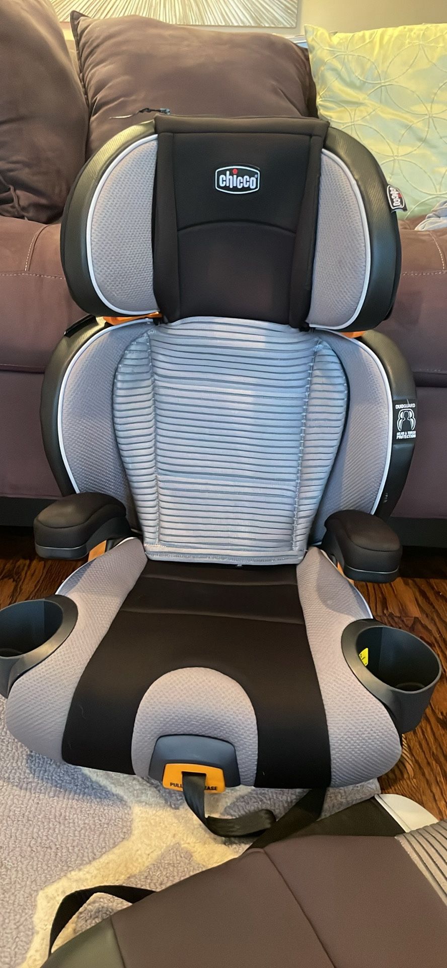 Chicco Booster Car Seat