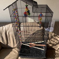 Bird Cage 