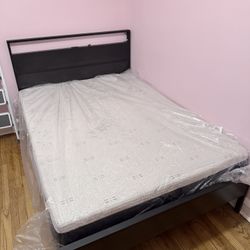 Full Sized Mattress 