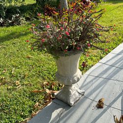 2 Stone Flower Pots With Red Crown Of Thorns Plant
