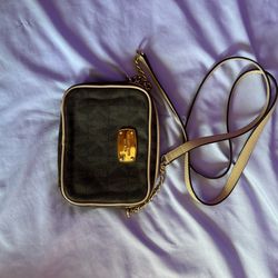 Micheal kors mini bag 