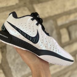 Nike LeBron 21 "Conchiolin"  ( pick up only )Size 8.5 Mens $75