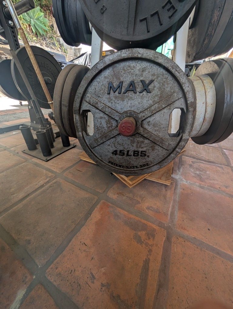 45 Lb Olympic Weights ~ 90lbs