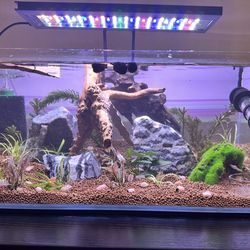 Ultum Nature Systems Tank