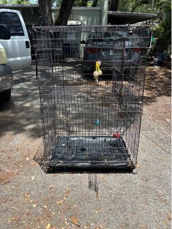 Cage  32 wide 22deep 48 tall as is