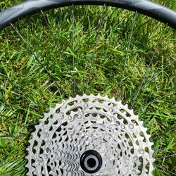 Mtb Giant 29er rear wheel w 12cassette 