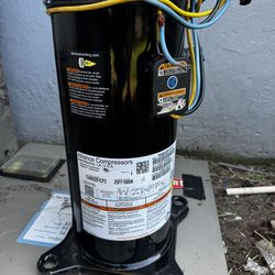 Scroll Compressor With Plug