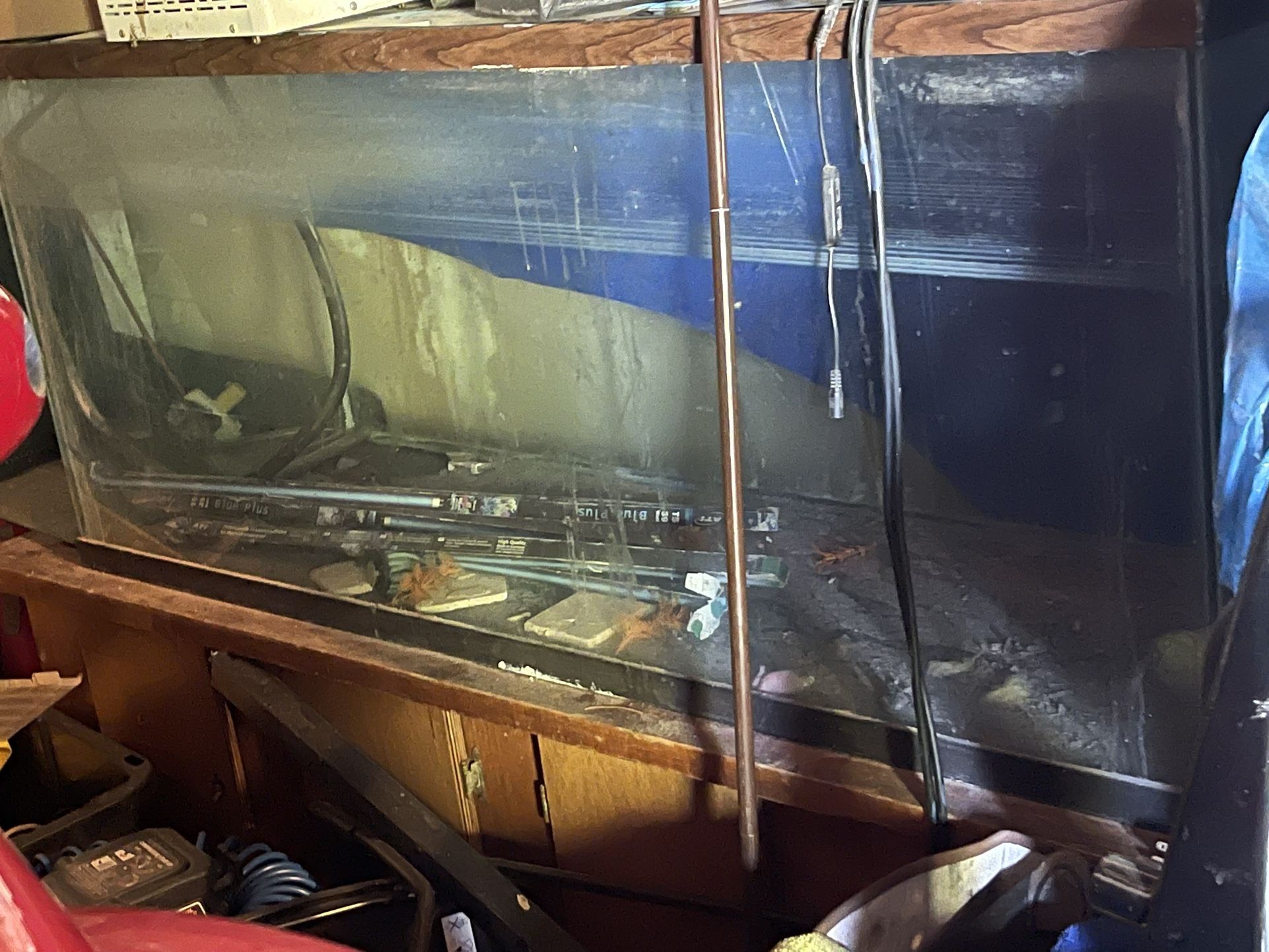 Fish Tank