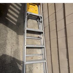 Two Ladder For $250