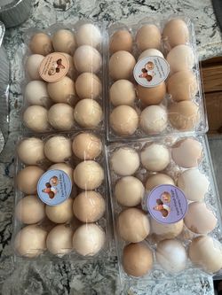 Farm Eggs!