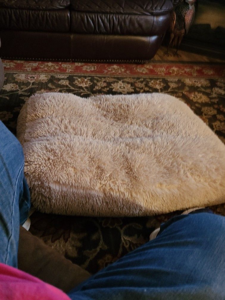 DOG BED ABSOLUTELY COMFORTABLE 