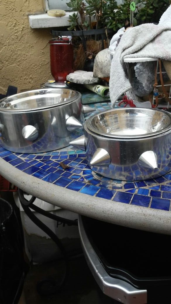 Twin dog bowls