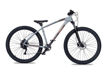 Collective C100 BMX Bikes 29”
