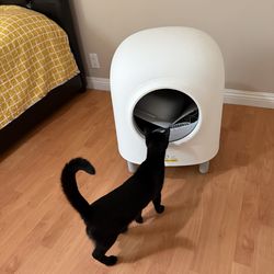 Self Cleaning Litter box
