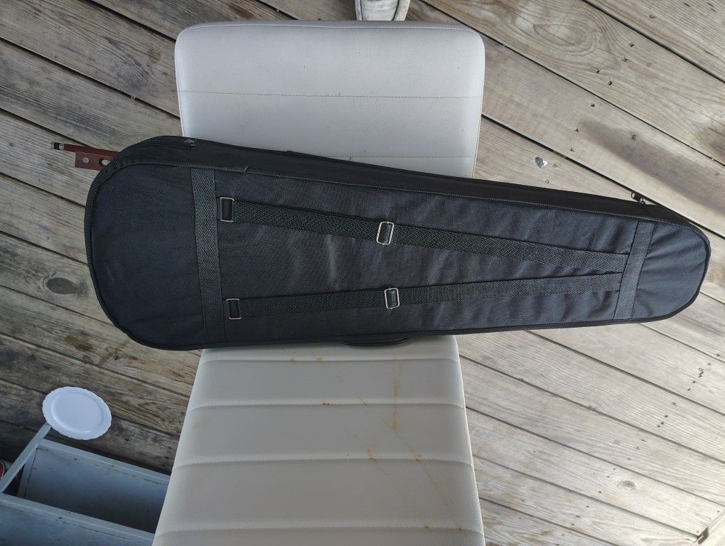 Violin in the case