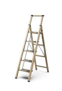 Ladder