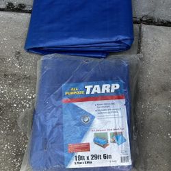 Tarp