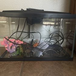 10 Gallon Aquarium with Filter and Decor 