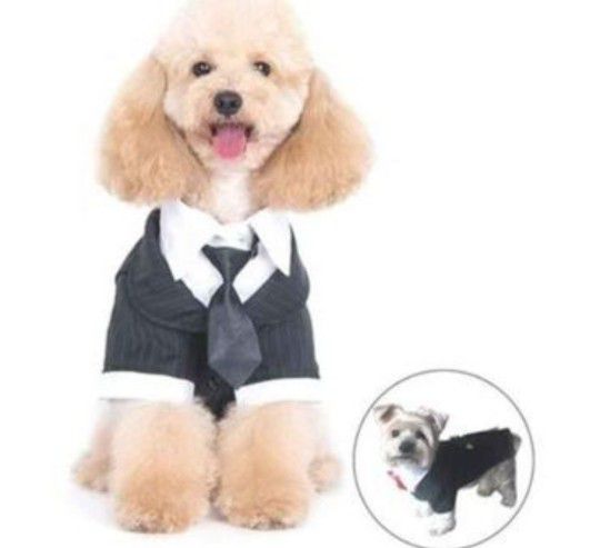 Pet  Formal Tuxedo Tie or dog not included large available