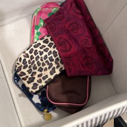 New Make Up Pouches