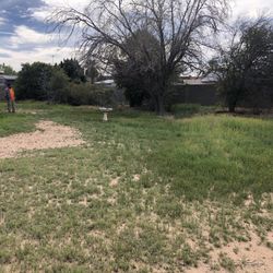 Tree Trimming For Sale Arizona 