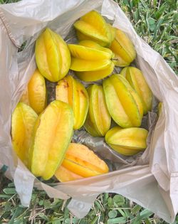 ✨Fresh Starfruit Sale —• Limited Fresh Pick! 🌿