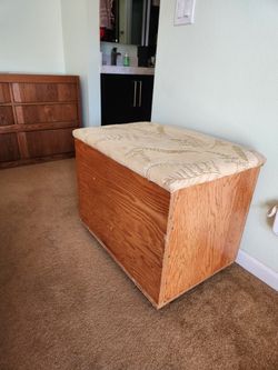 Storage Box With Padded Top