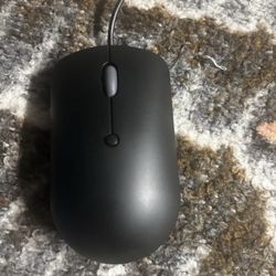 Mouse 