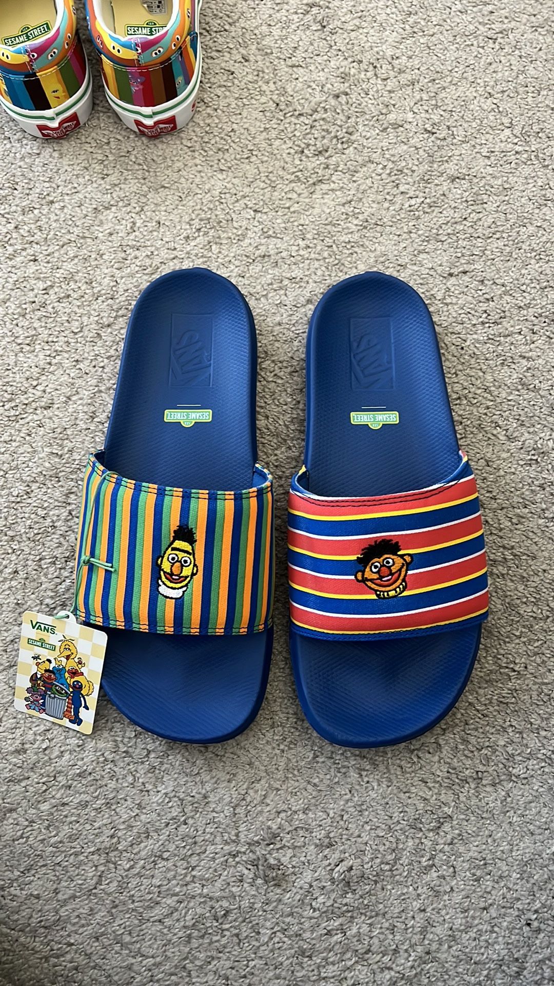 Vans X Sesame Street Men’s Sandals 10