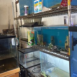 Fish tanks for sale