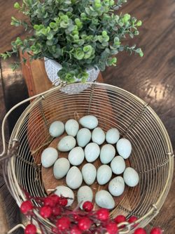 Celadon Coturnix Quail Eggs For Hatching