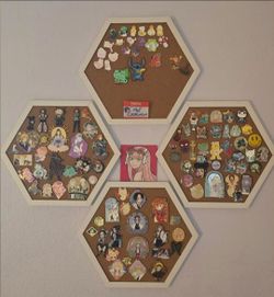 Pin collection lot
