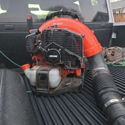 Echo Leaf Blower