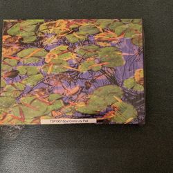 Canvas Print TSP1007