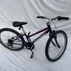 Schwinn Mountain Bike Bicycle 