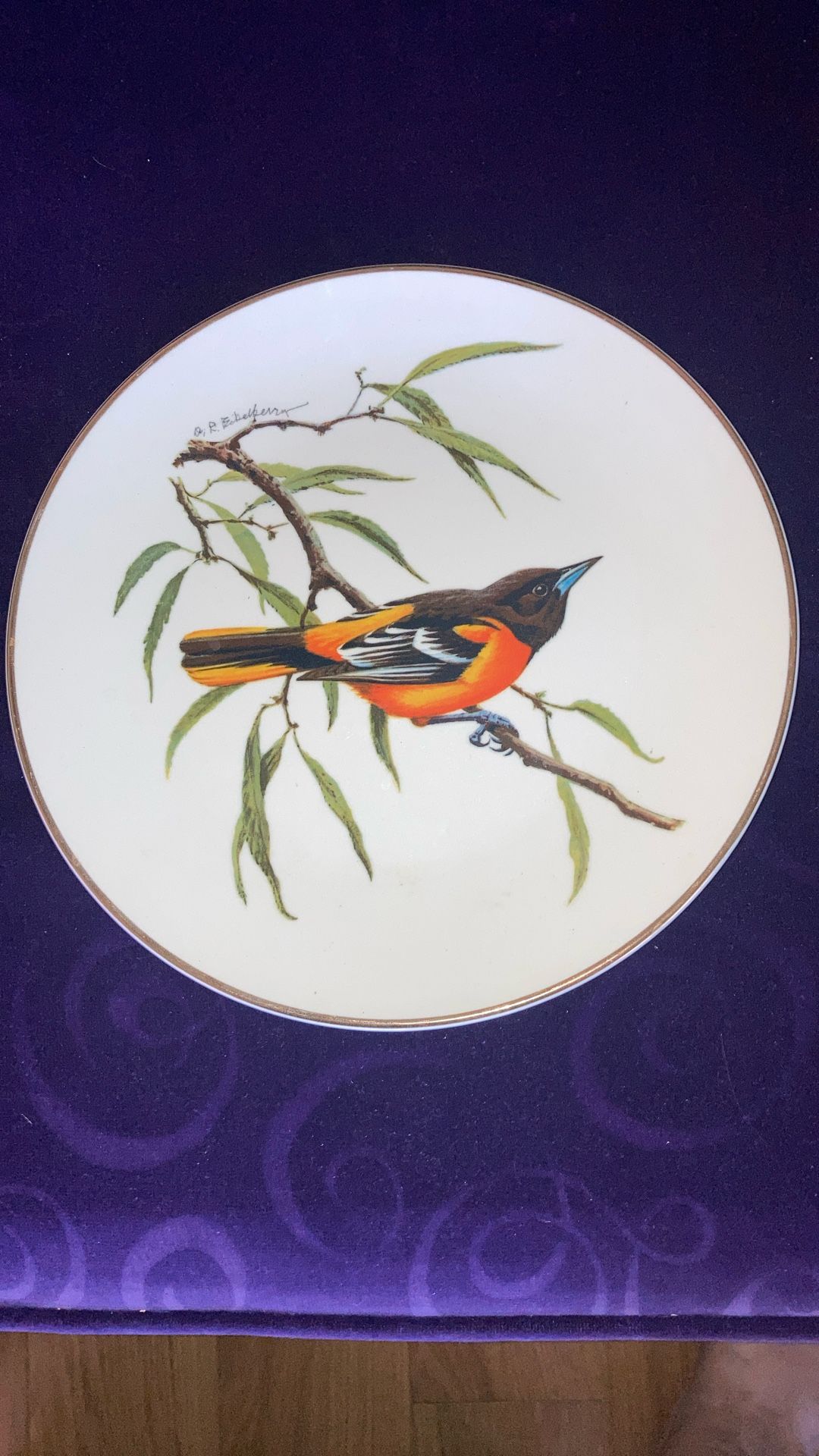 Baltimore Oriole Songbird Plate