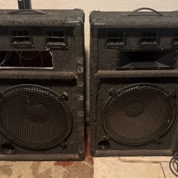 15 “ Speaker
