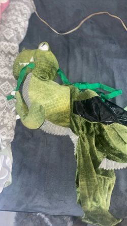 Dinosaur Costume