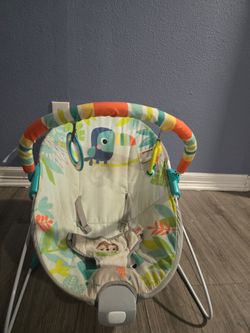 Baby bouncer