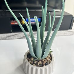 Small Faux Aloe Plant